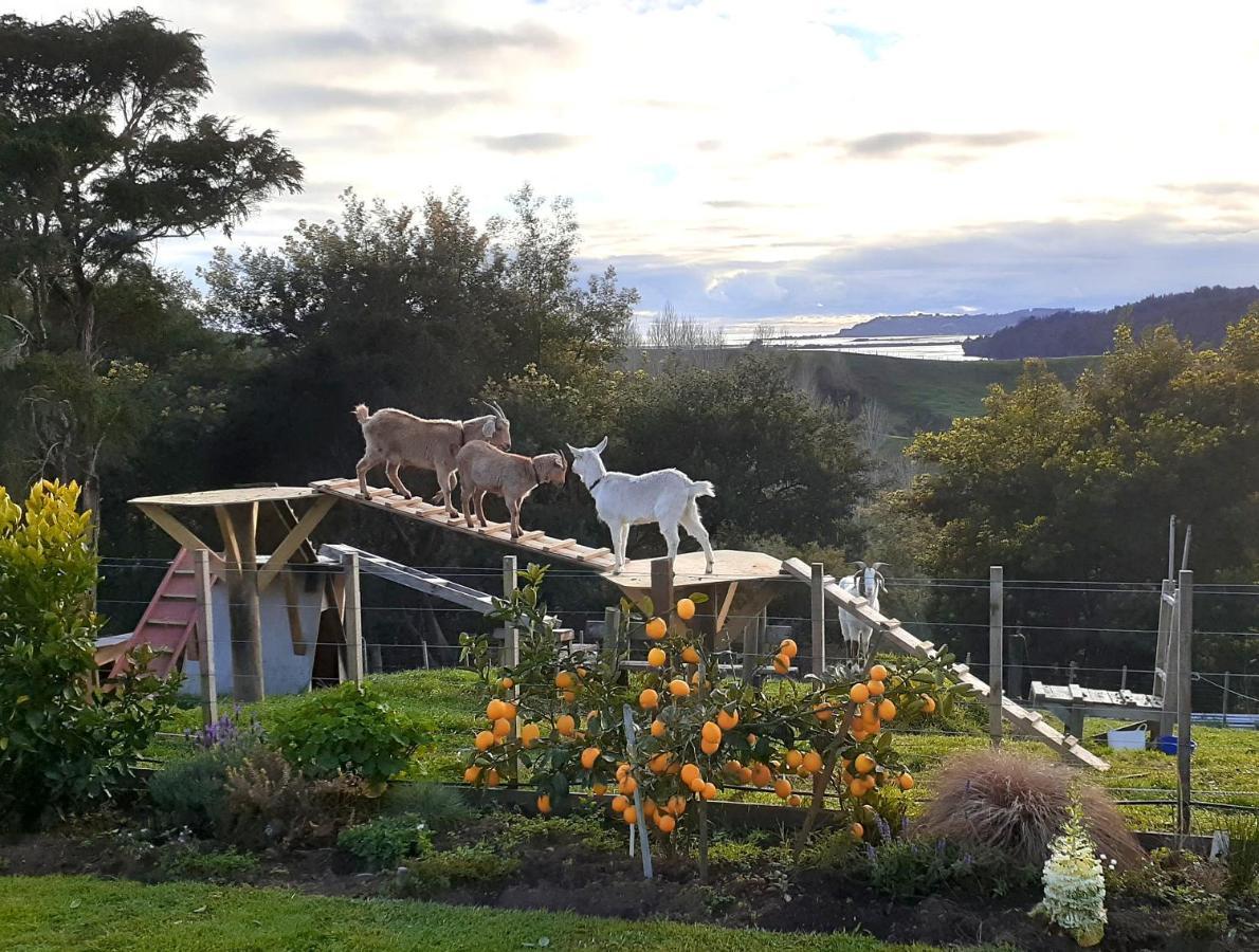 Rangimarie 123 Wainui (Bay of Plenty) Exterior foto
